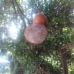 Сasa de vacaciones O Paxar