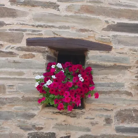O Paxar Nyaraló Samos