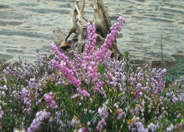 O Paxar Feriehus Samos
